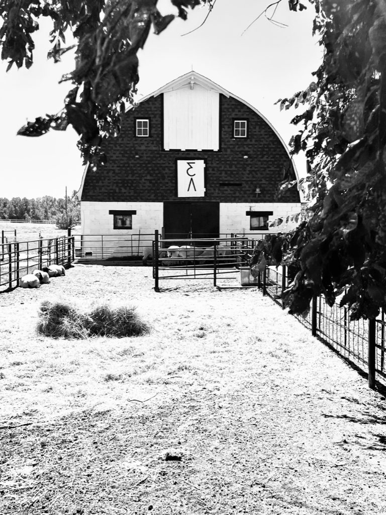 barn sm